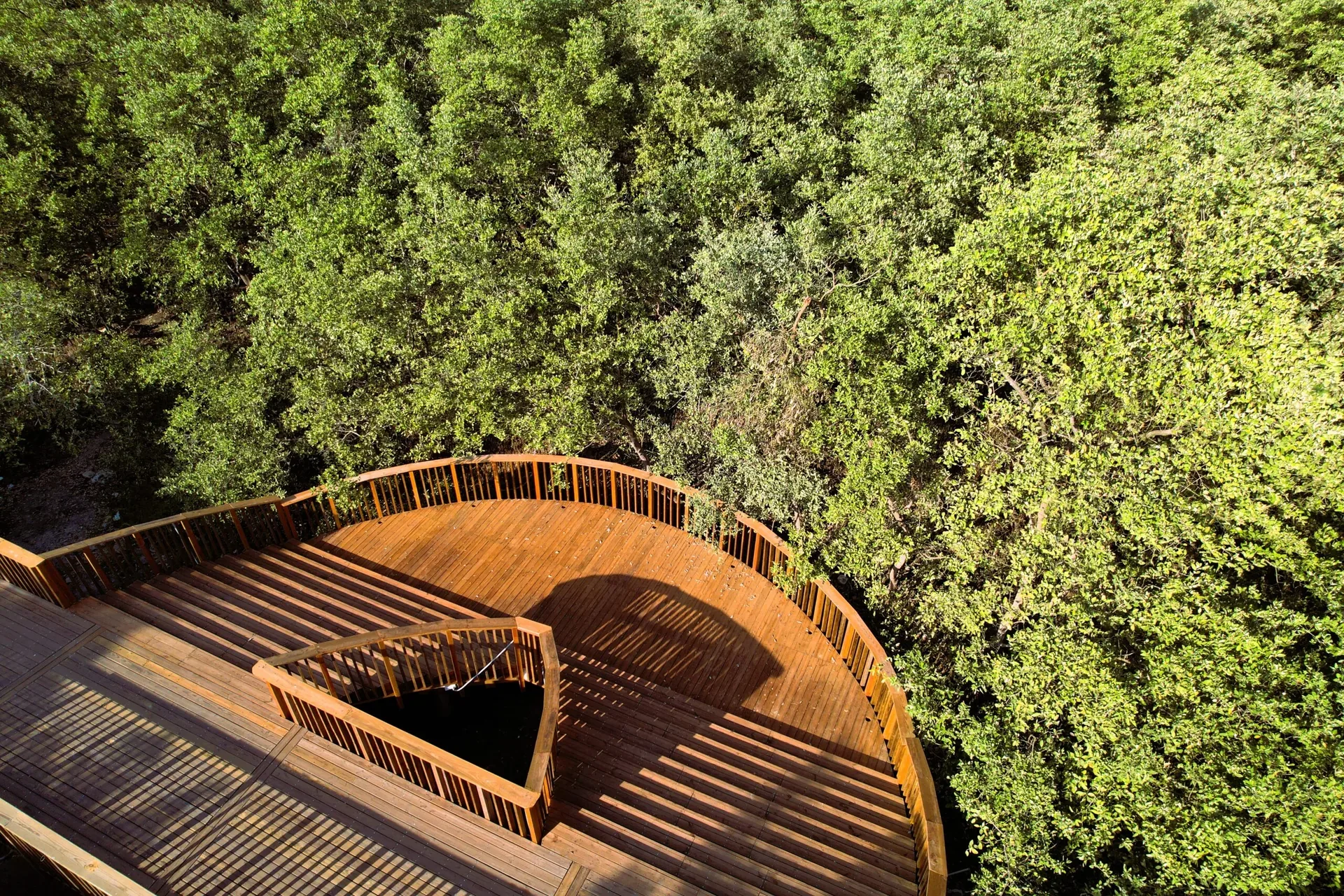Ecoparque Ciénaga de Mallorquín